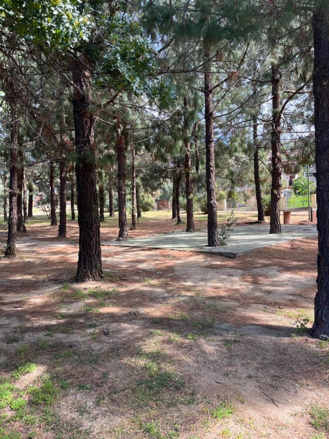 Holiday home Fiorilla Geremeas